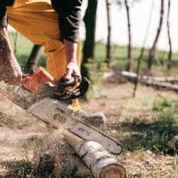 Taylor Wells Insurance