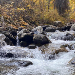 Taylor Wells Insurance