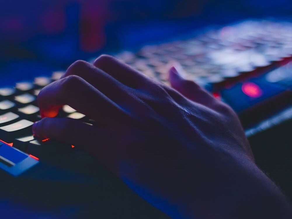 Taylor Wells Insurance