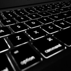 Taylor Wells Insurance