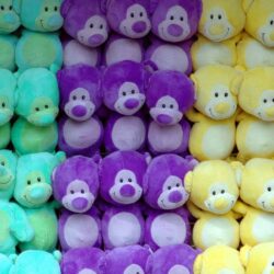 Taylor Wells Insurance